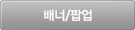 배너/팝업