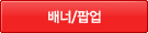배너/팝업